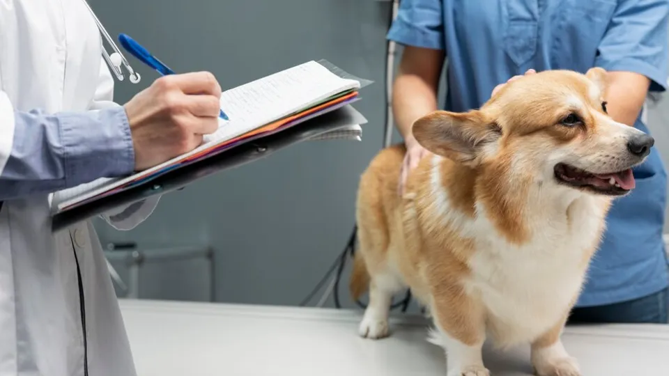 Фото: freepik.com