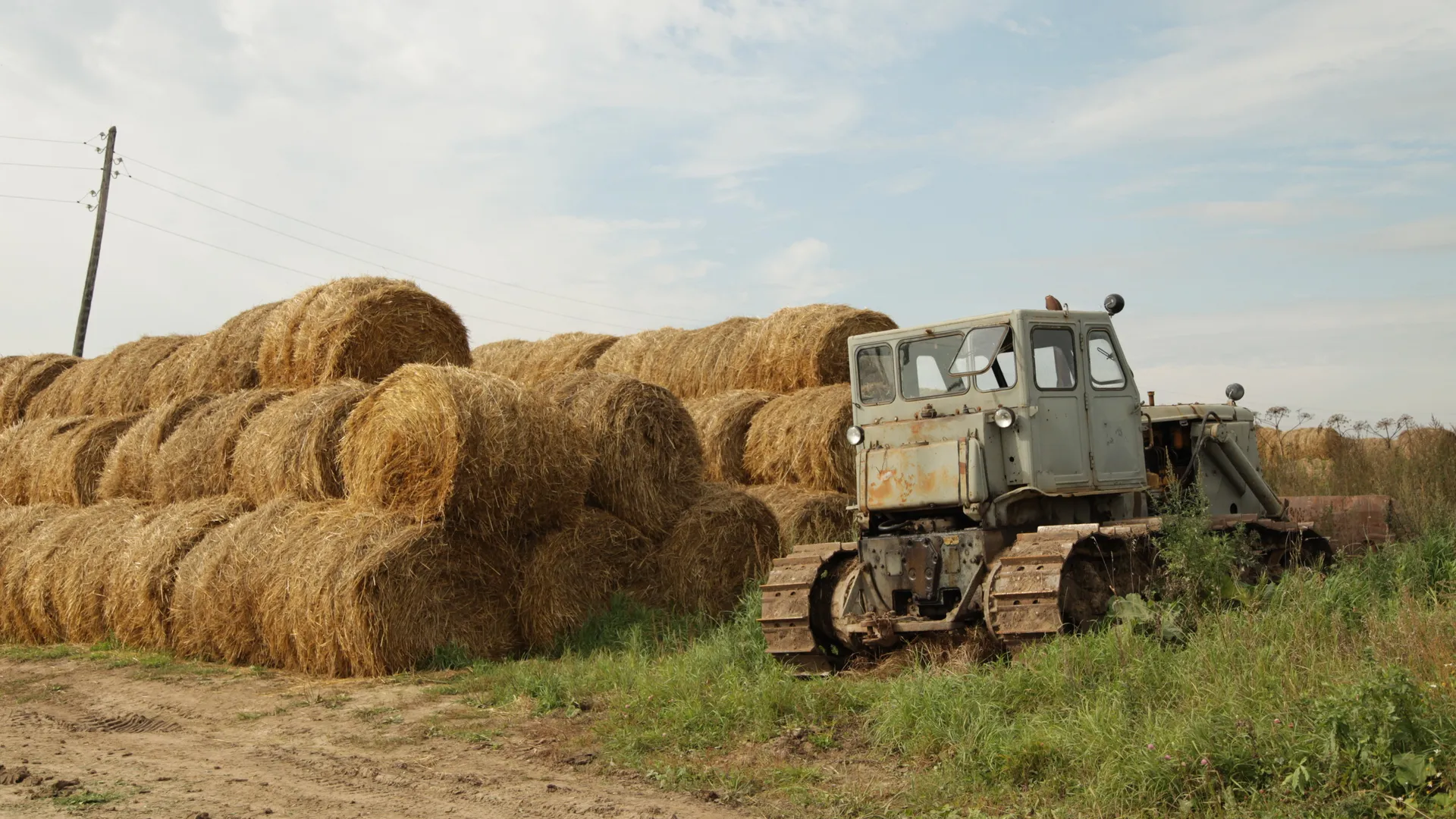 Ферма «Кузьминский»