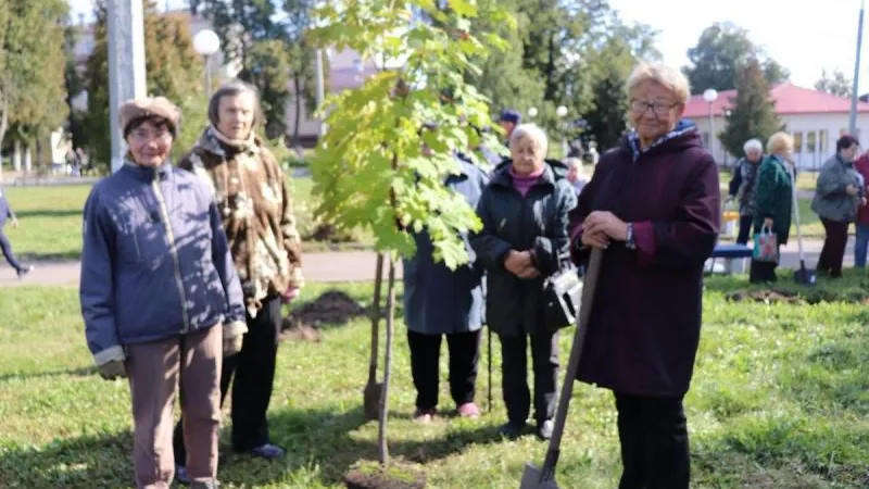 Более 250 тысяч жителей Подмосковья приняли участие в акции «Наш лес»