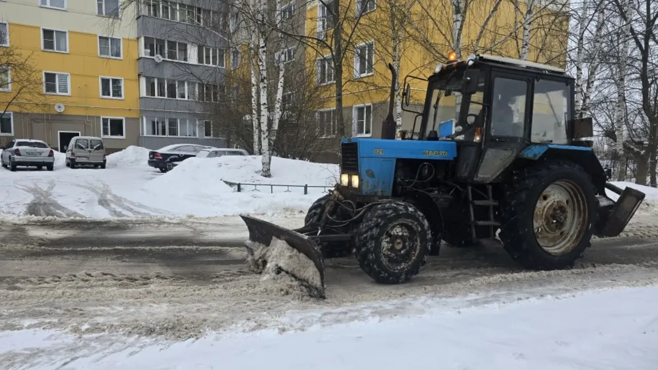 REGIONS/Яна Шаливская