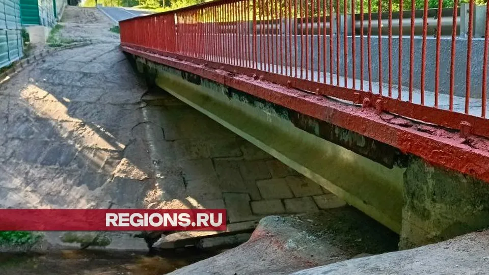 Фото: REGIONS/Евгений Рой