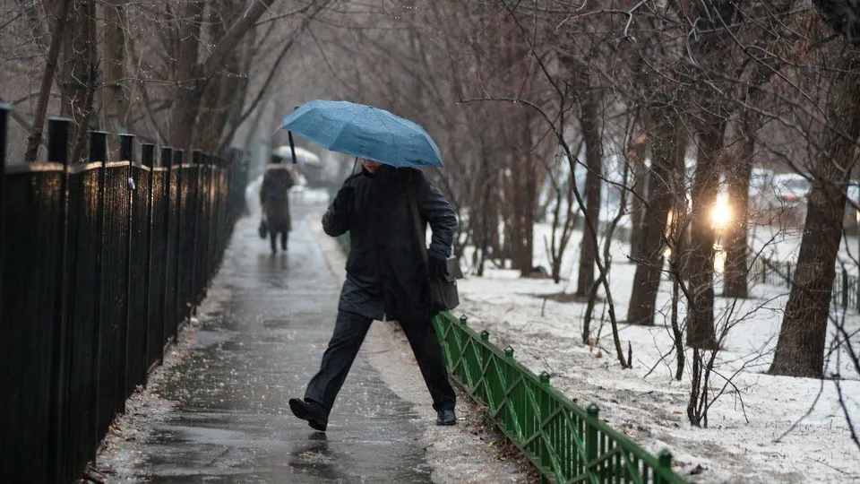 Фото: медиасток.рф