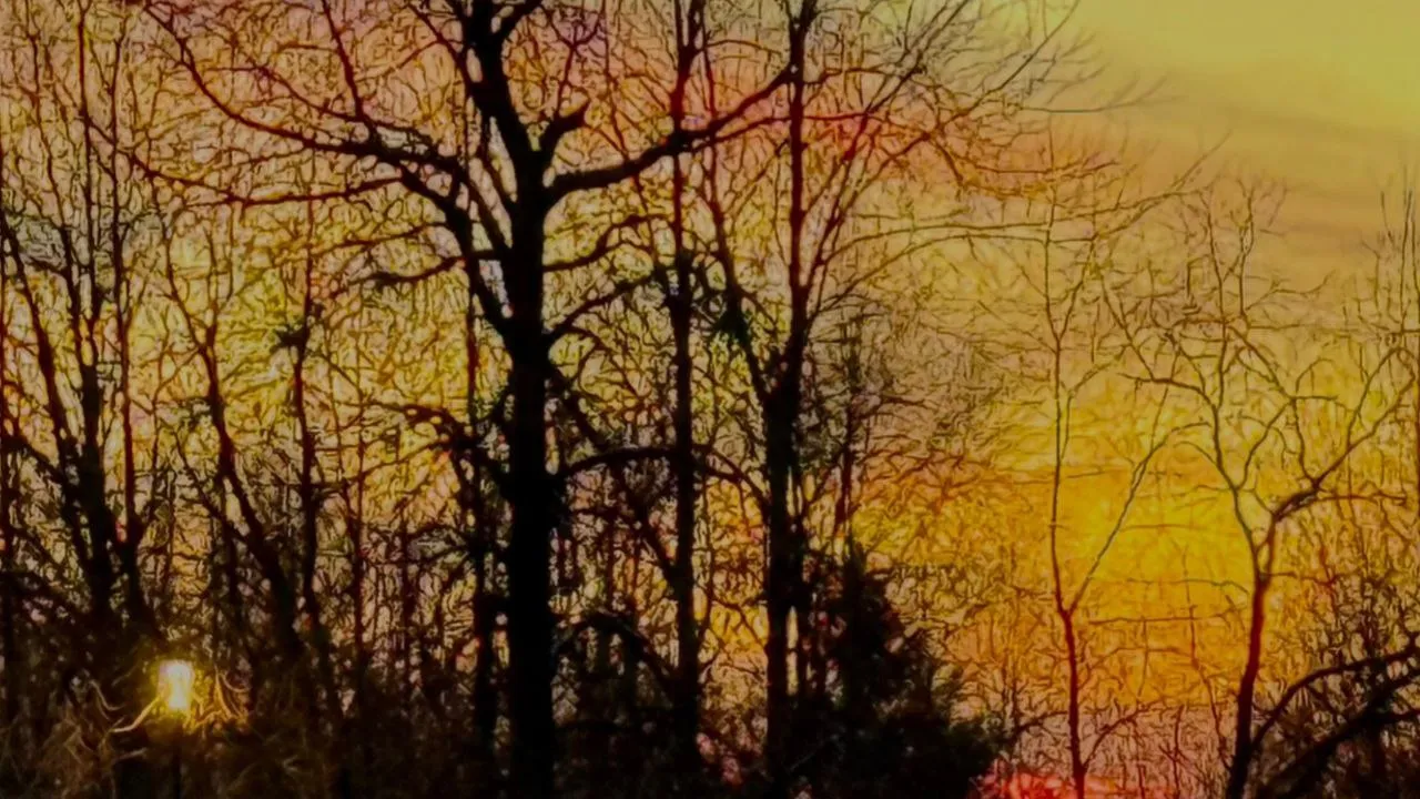 Фото: Марина Алифанова