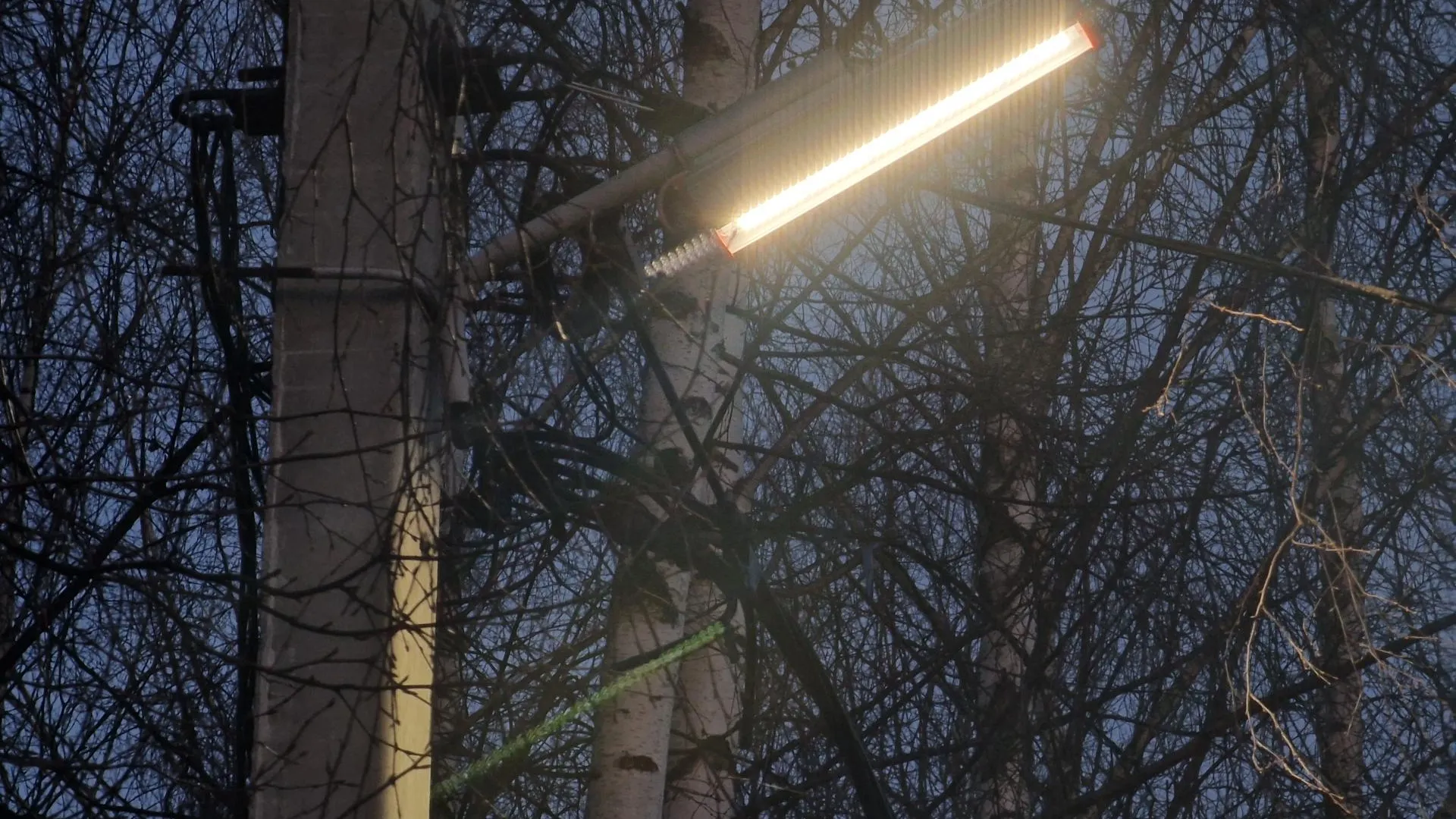 REGIONS/Арина Кузнецова