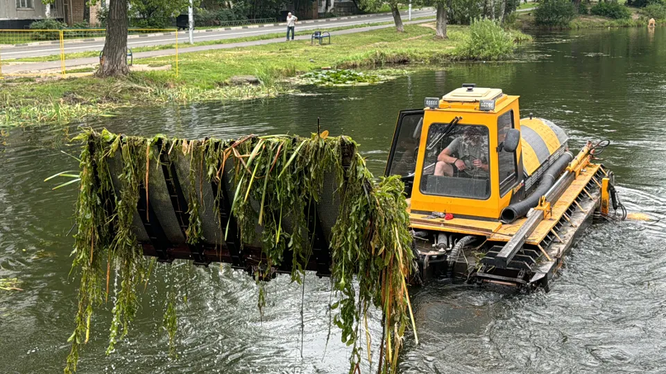 Фото: МедиаБанк Подмосковья/Мария Шматкова