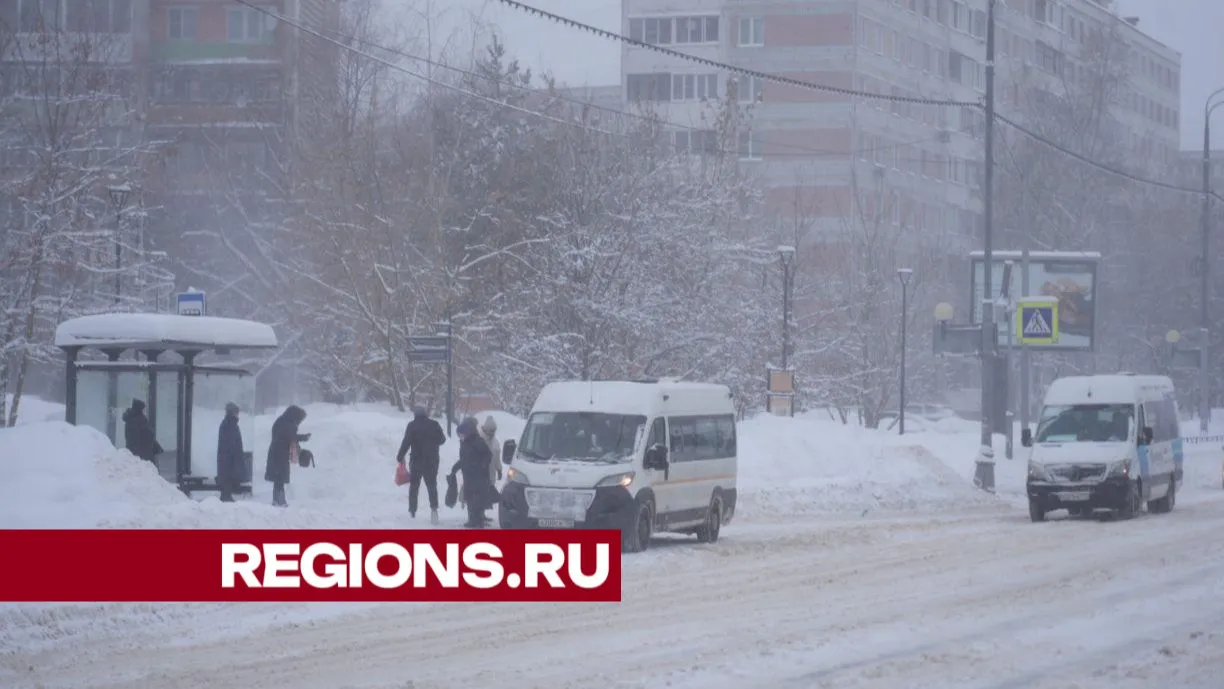 Фото: Дарья Леонова