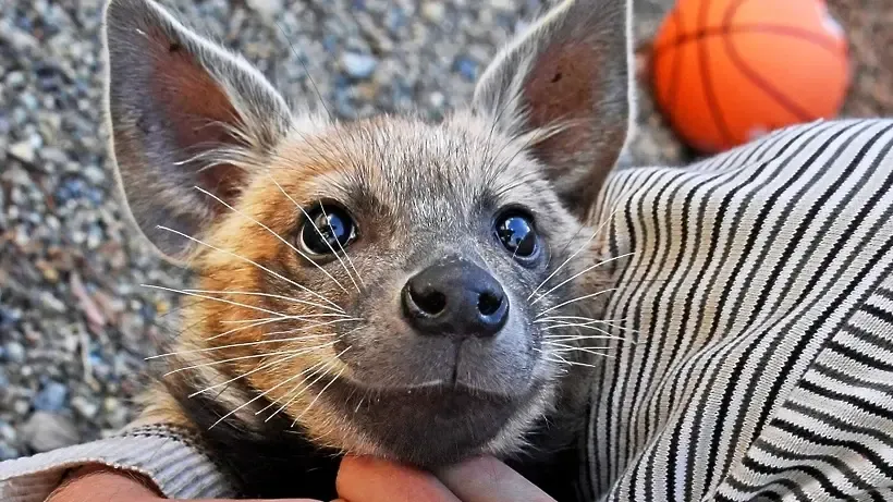 © РИА Новости,   Виталий Аньков