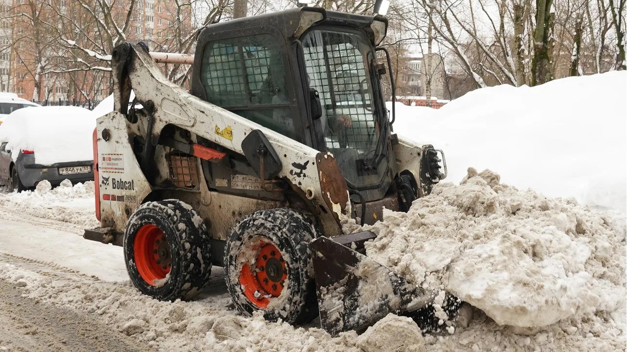 МедиаБанк Подмосковья/Мария Овчинникова