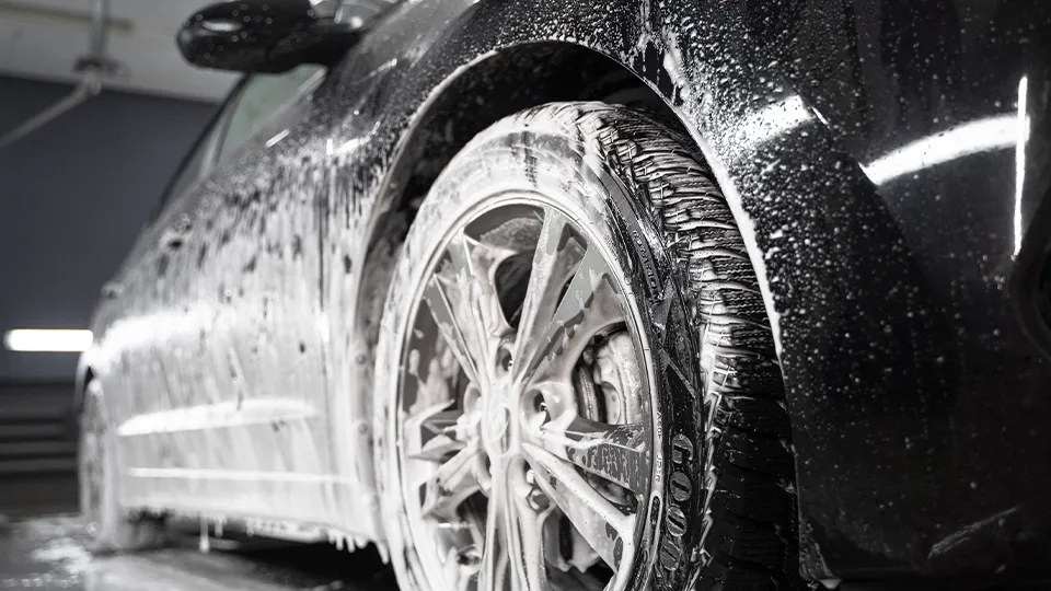 Фото: freepik.com