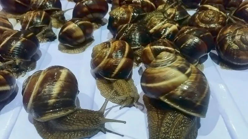 Минсельхоз МО