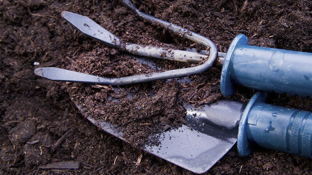 istockphoto.com/fotografiche