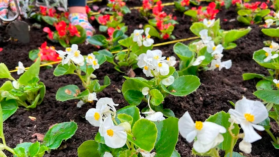 Фото: пресс-служба администрации г.о. Королев