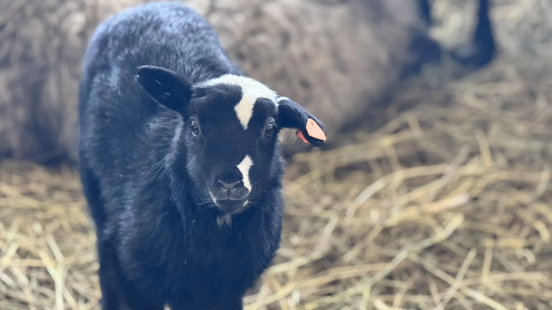 Татьяна Рунова