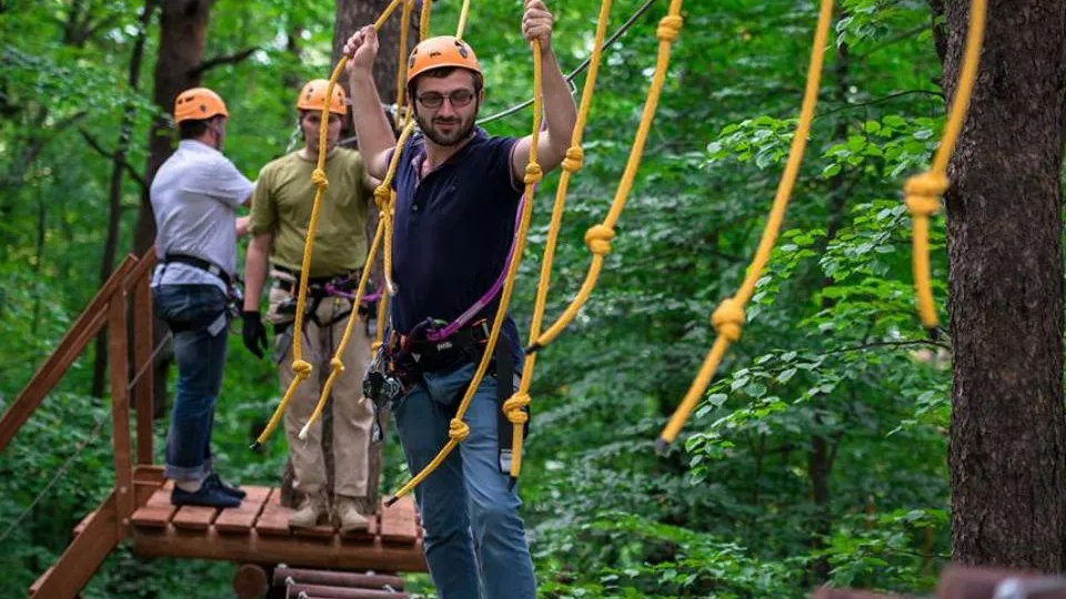 Фото: Министерство благоустройства Московской области