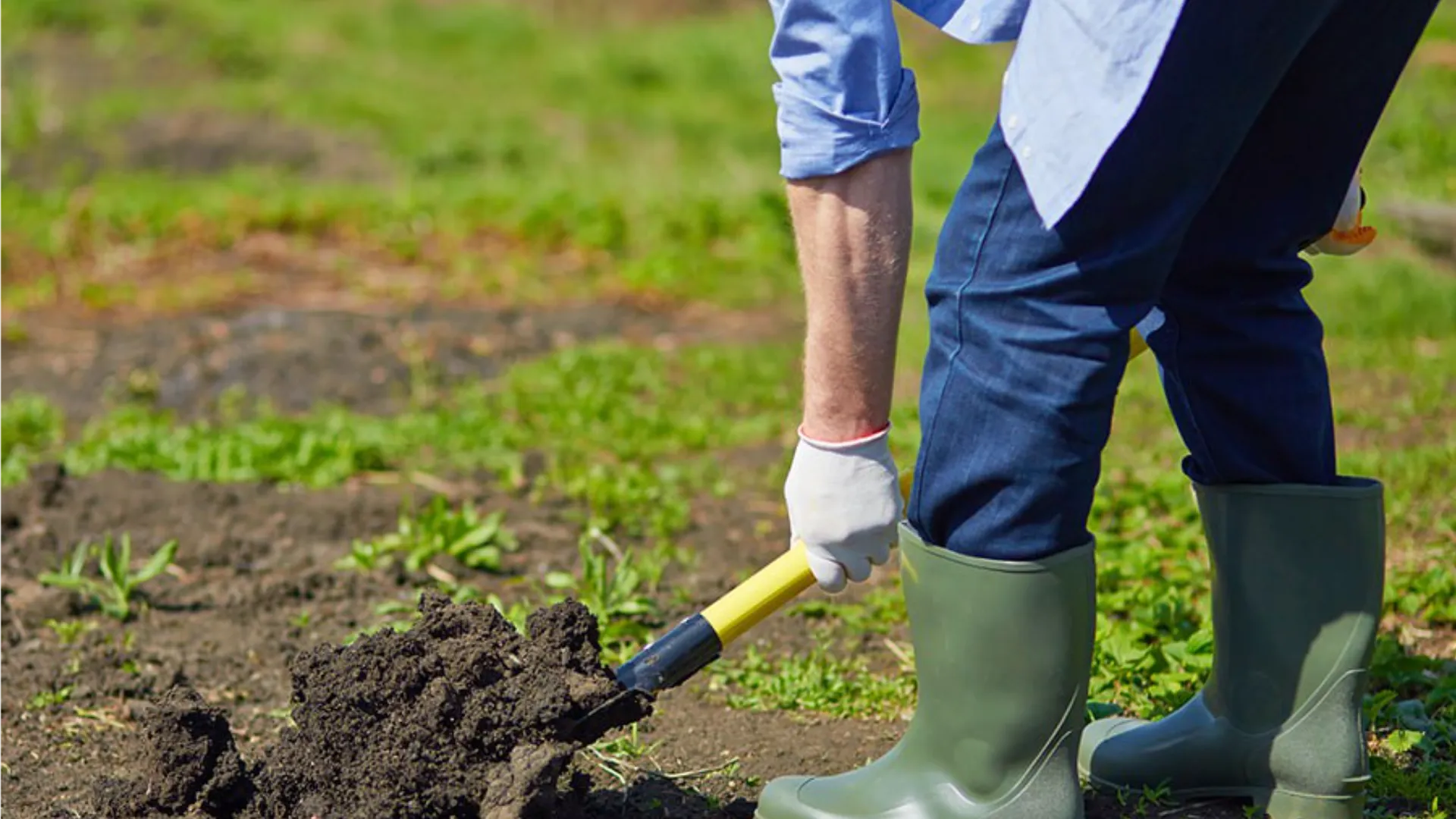 Фото: istockphoto.com/shironosov