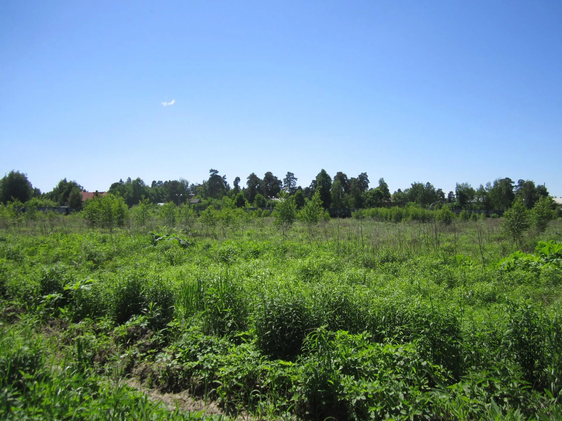 Фото: Олег Книжник