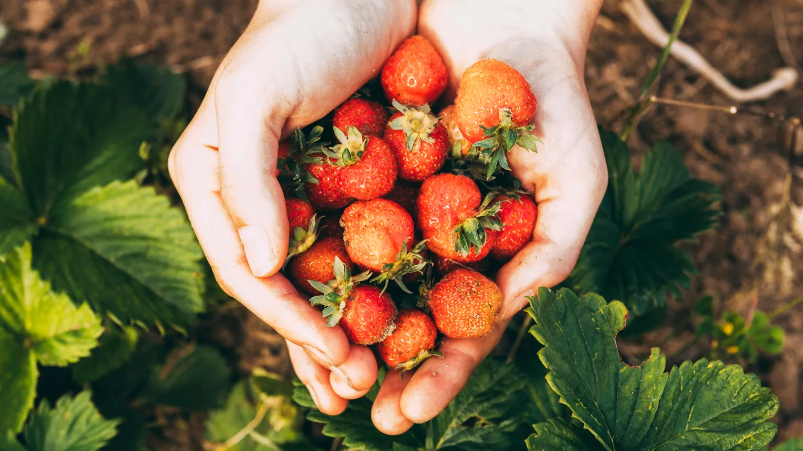 Фото: freepik.com