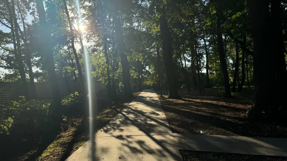 Фото: REGIONS/Анна Сердюкова