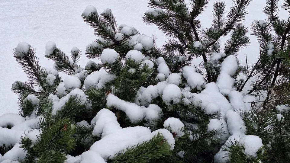 REGIONS/Катерина Антохина