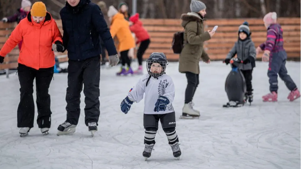 Фото: Министерство благоустройства Московской области