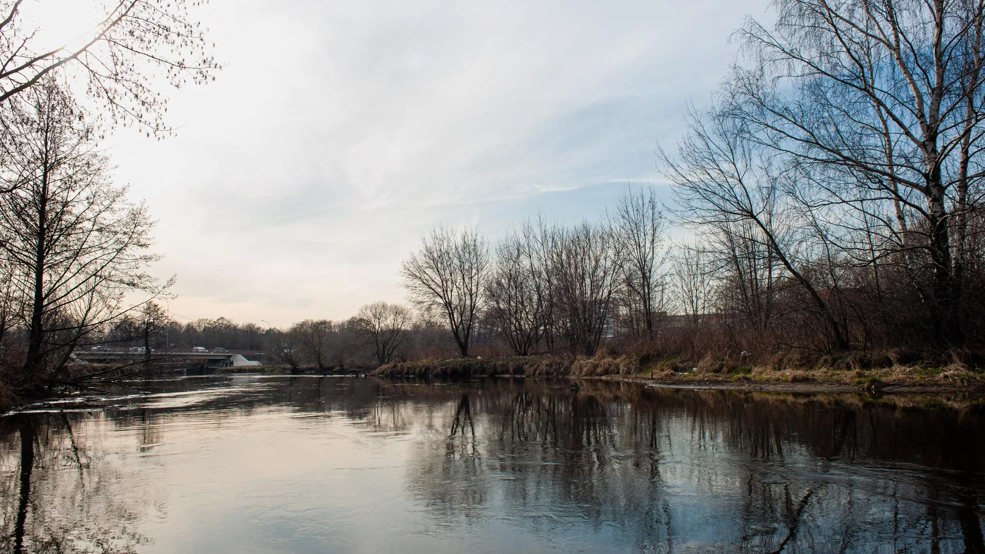 медиасток.рф