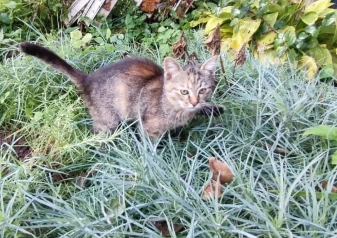 Фото: Подслушано на Глебовке (новая) / ВКонтакте