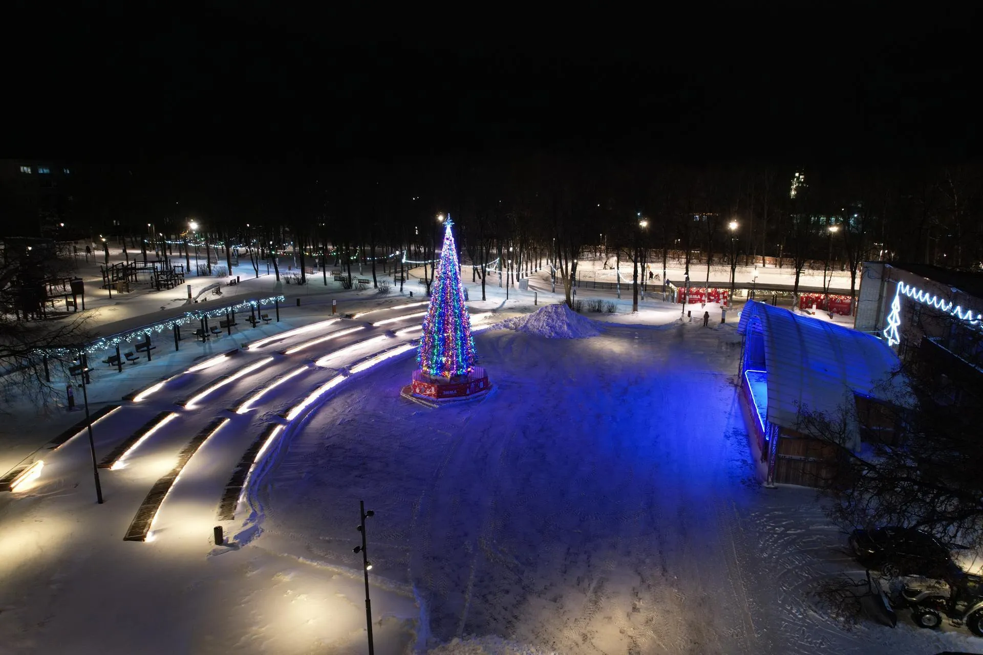 Фото: Ксения Борцова