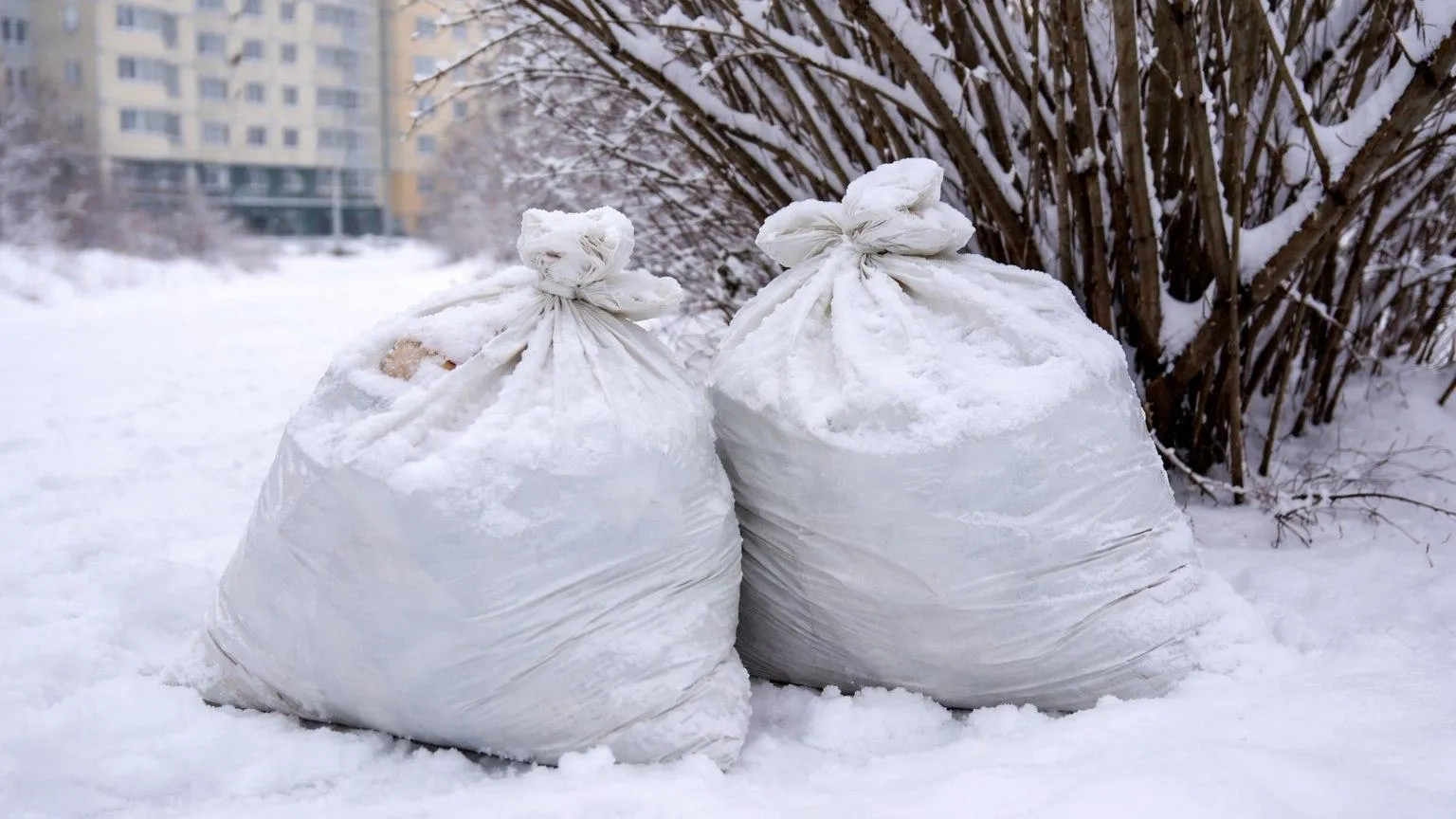 REGIONS/Сгенерировано нейросетью