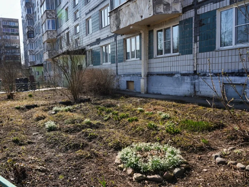 Фото: Дмитрий Зайчиков