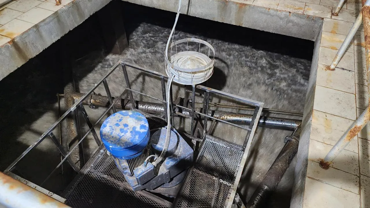 МедиаБанк Подмосковья/Екатерина Данилина