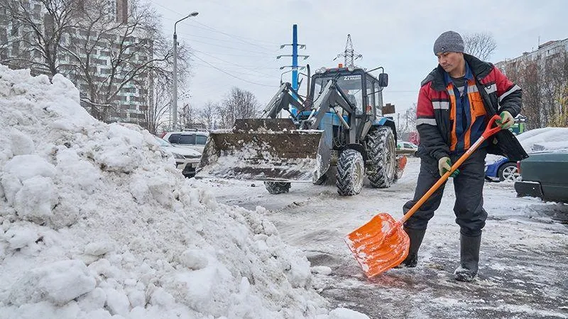 Дмитрий Белицкий/Подмосковье Сегодня