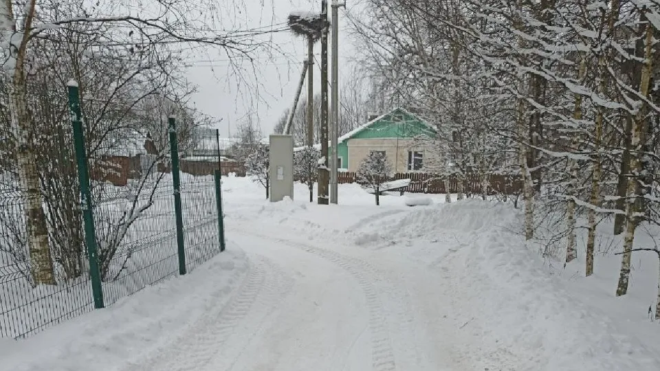 Деревня Кульпино. Фото: пресс-служба администрации м.о. Лотошино