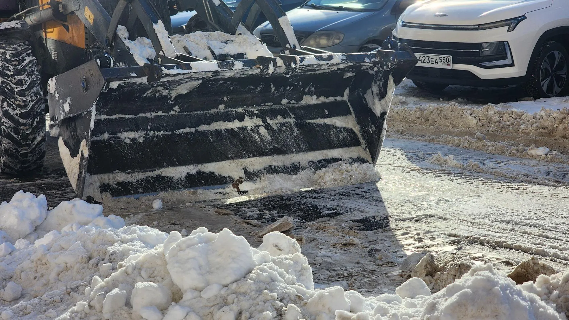 Валерия Тингаева