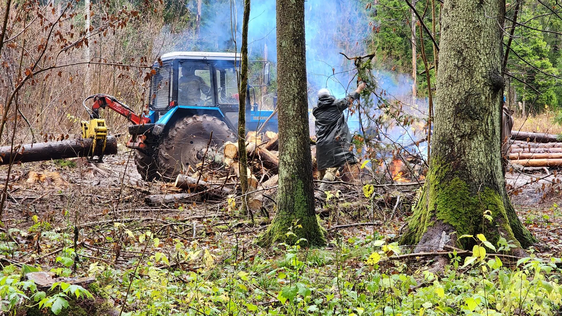 Фото: REGIONS/Елена Шумакова