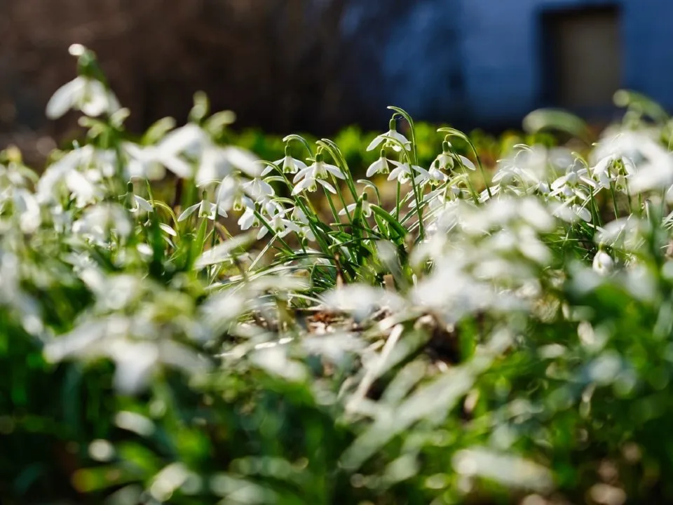 Фото: Дмитрий Зайчиков