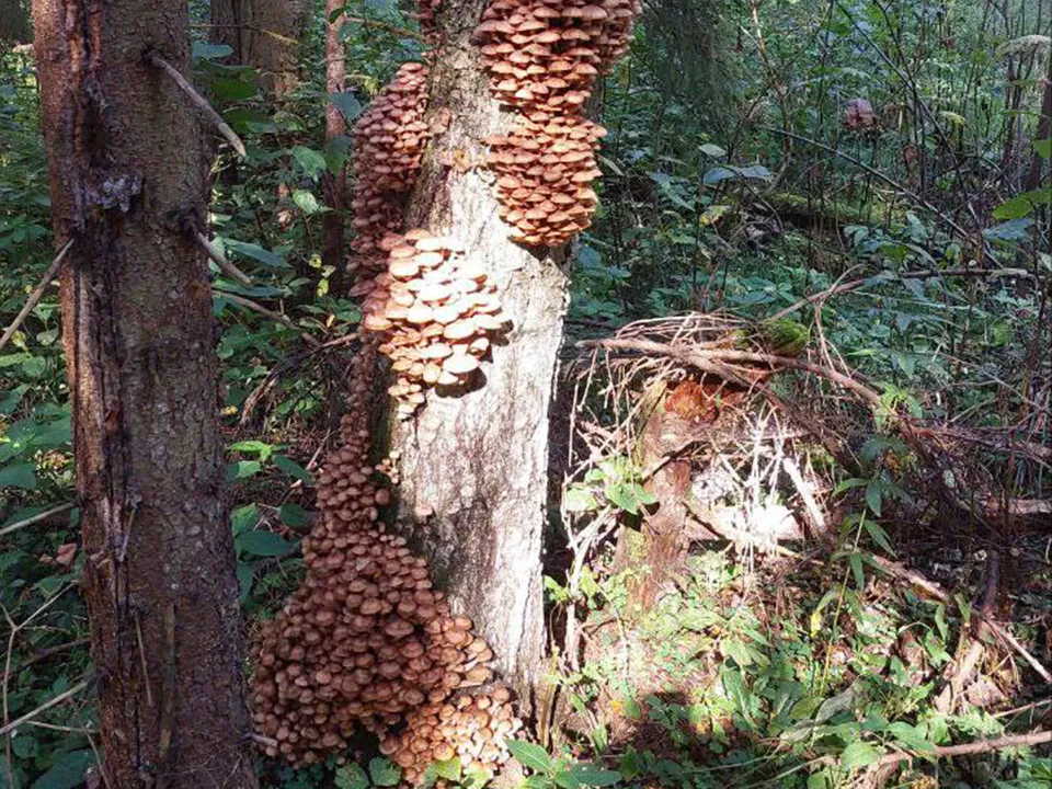 Фото: предоставлено собеседницей