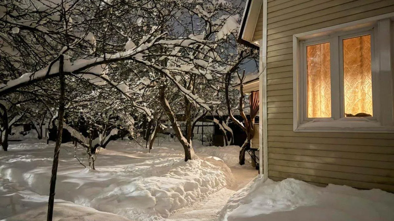 REGIONS/Анастасия Малышенко