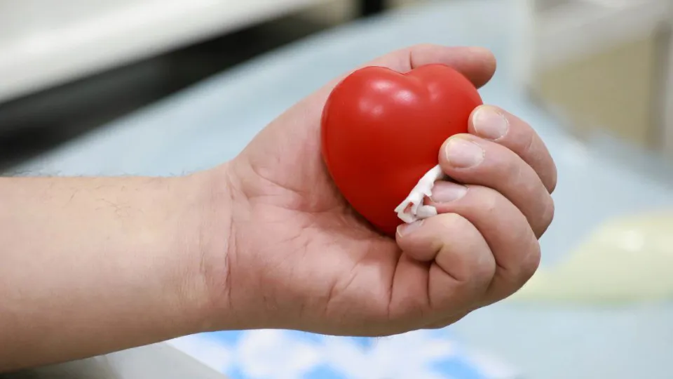 Фото: МедиаБанк Подмосковья/Максим Лысов