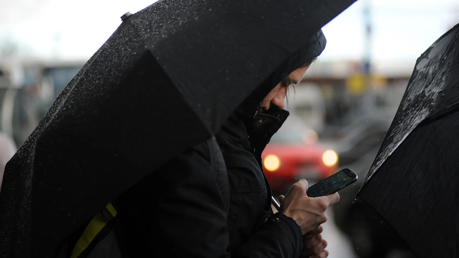 Фото: медиасток.рф