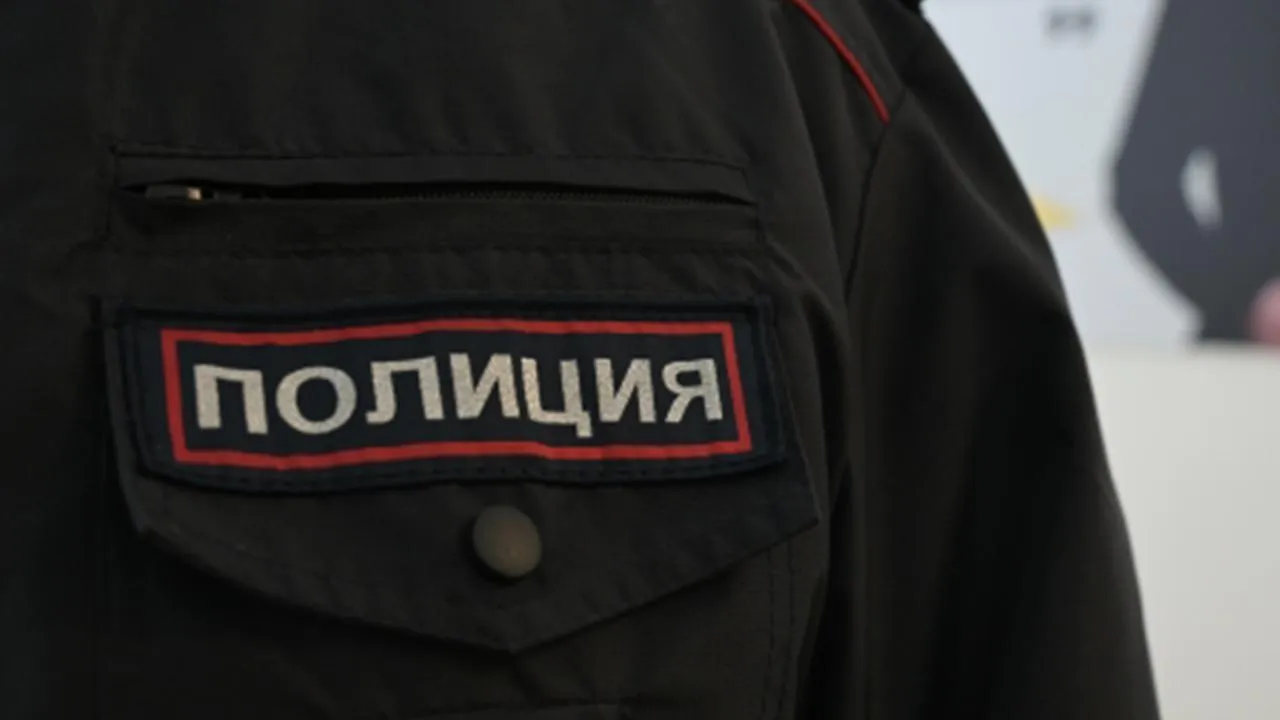 Житель Тарко-Сале отсидит полгода в колонии за нападение на сотрудника полиции
