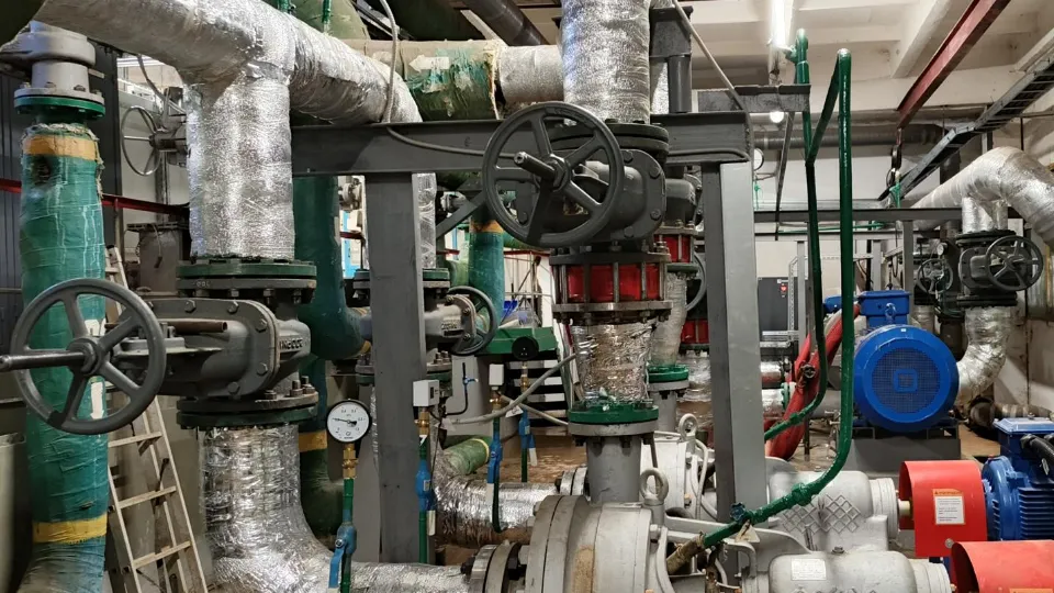 Фото: пресс-служба администрации г.о. Солнечногорск