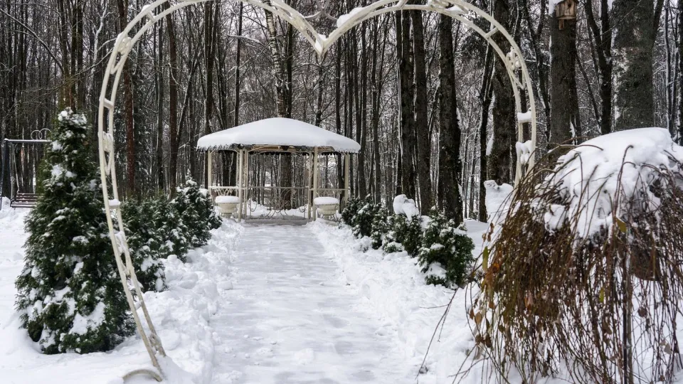 Фото: медиасток.рф