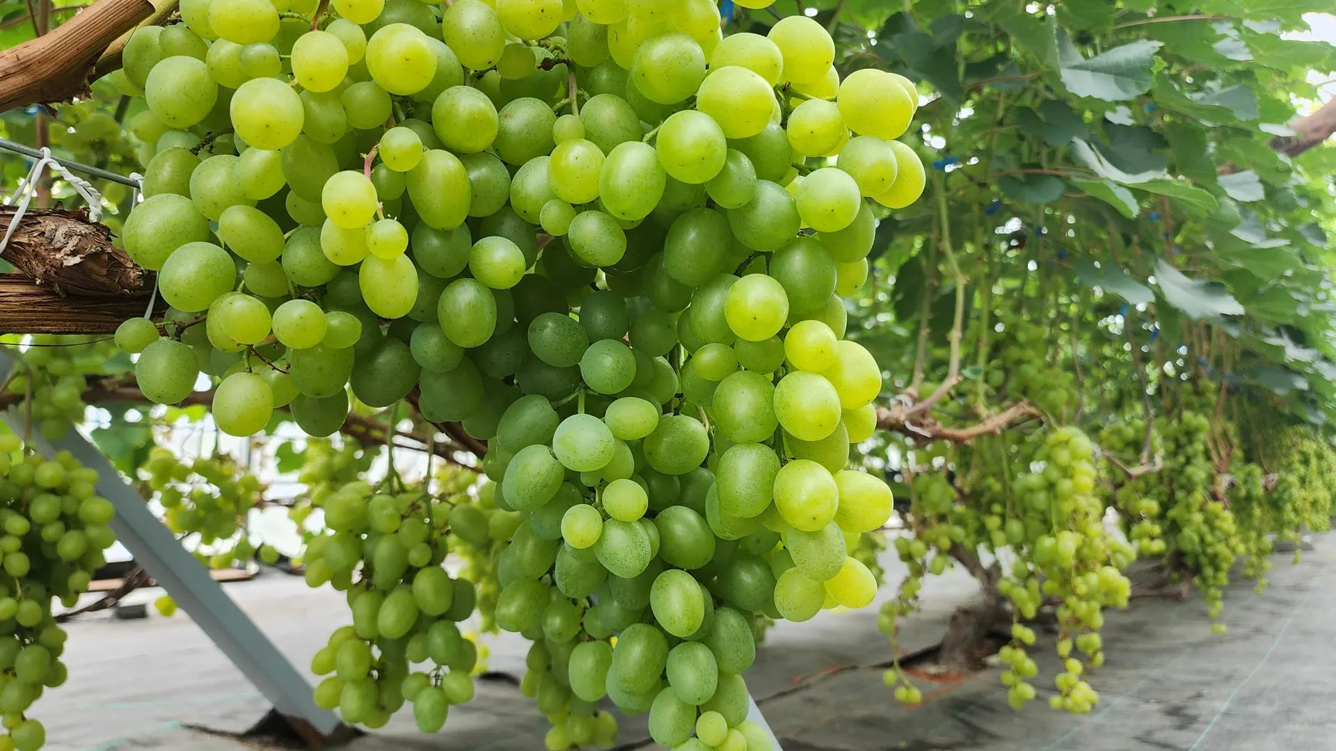 Фото: Юлия Андросова