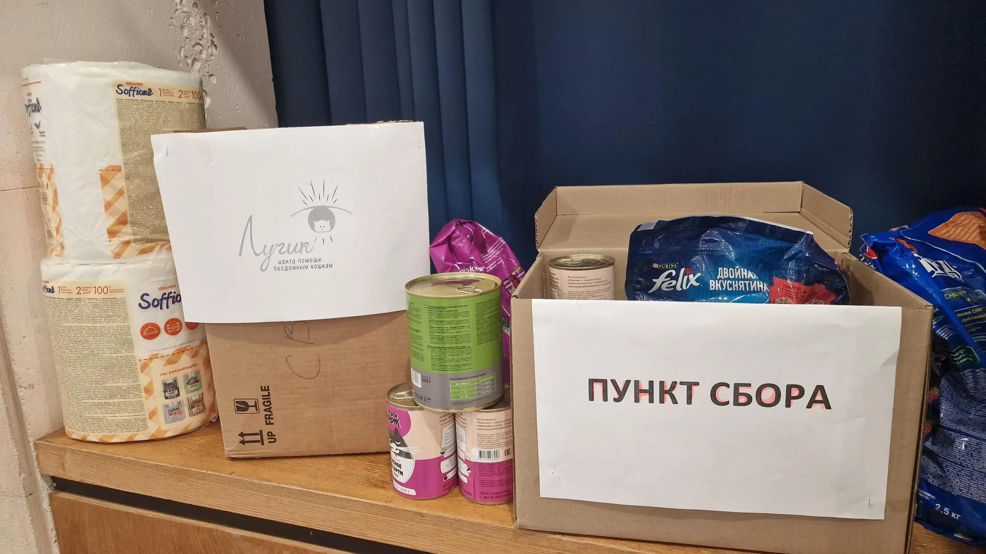 Фото: Анастасия Игнатова