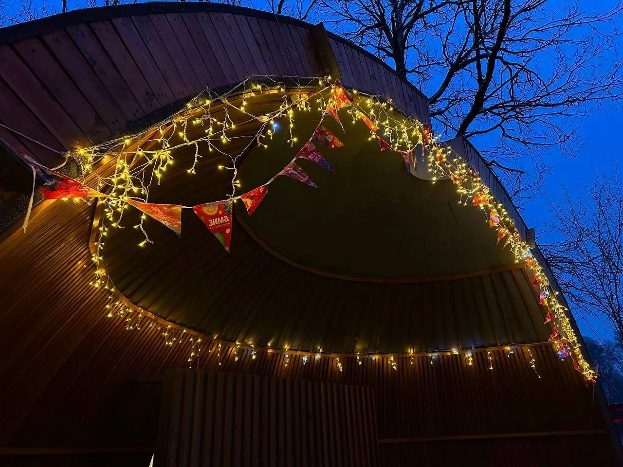 Фото: Фрязинский лесопарк