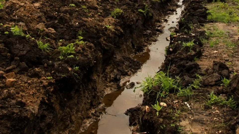 Фото: РИА Новости/Кирилл Шипицин