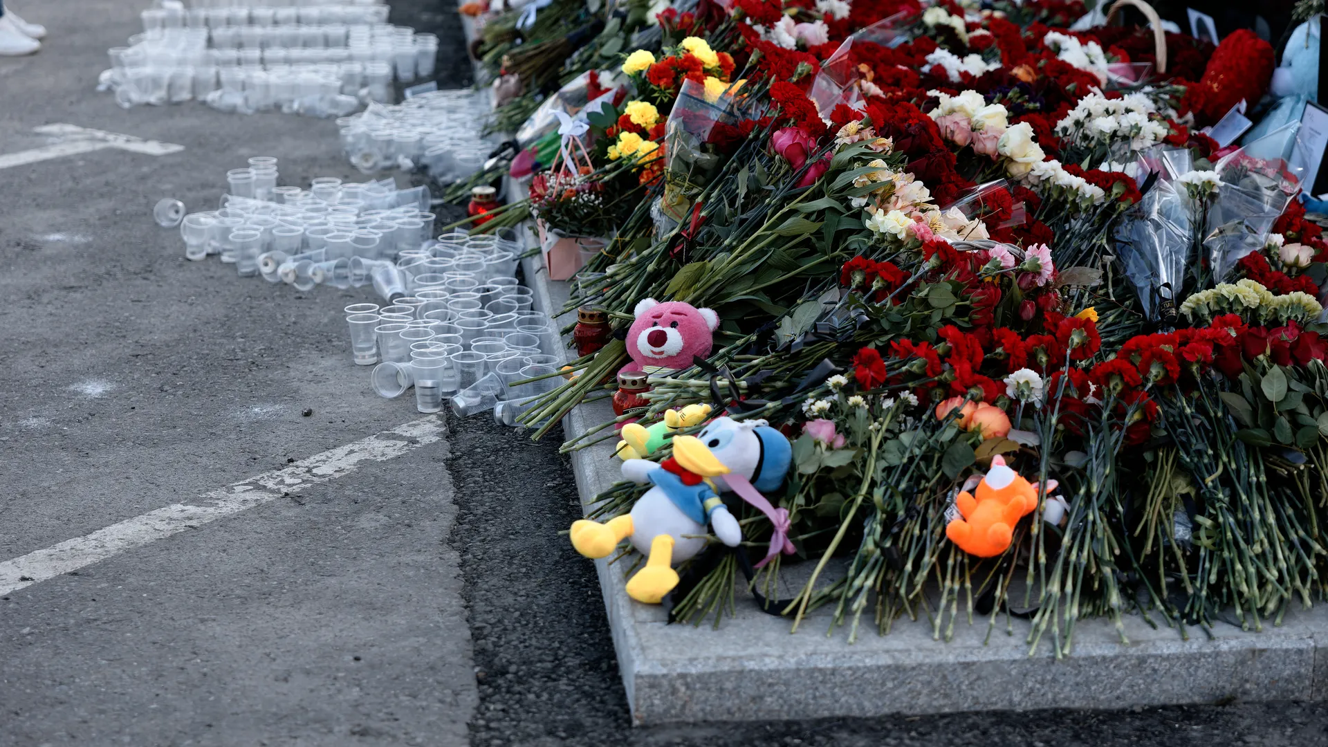 медиасток.рф