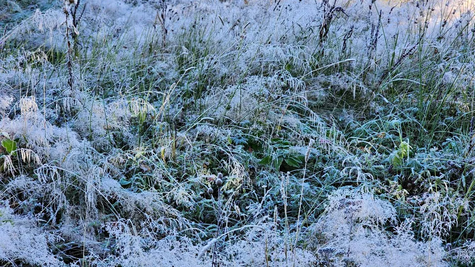 Фото: REGIONS/Елена Шумакова