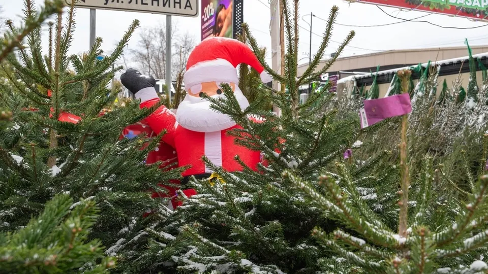 Фото: администрация г.о. Реутов