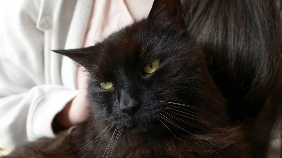 Фото: istockphoto.com